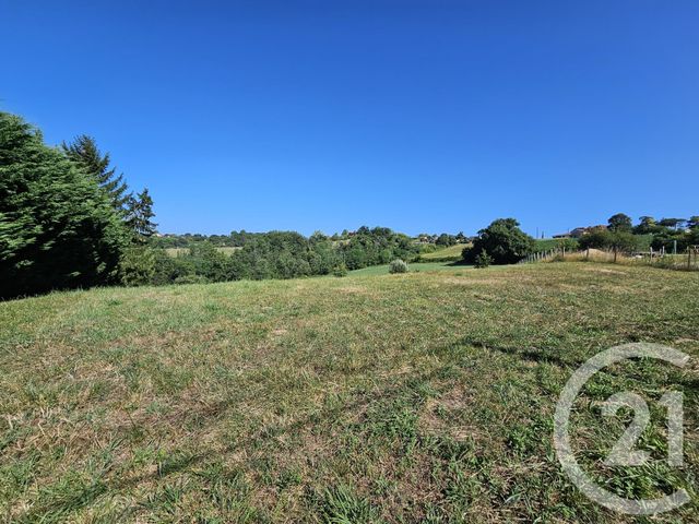 terrain à vendre - 3685.0 m2 - BAIGTS DE BEARN - 64 - AQUITAINE - Century 21 Agence Du Pont - Vieux