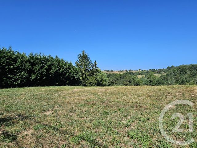 terrain à vendre - 3685.0 m2 - BAIGTS DE BEARN - 64 - AQUITAINE - Century 21 Agence Du Pont - Vieux