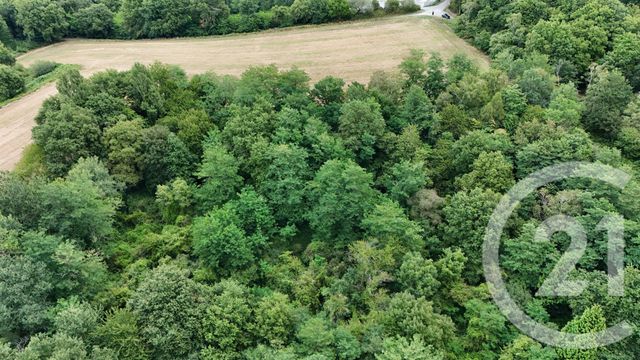 terrain - SALIES DE BEARN - 64