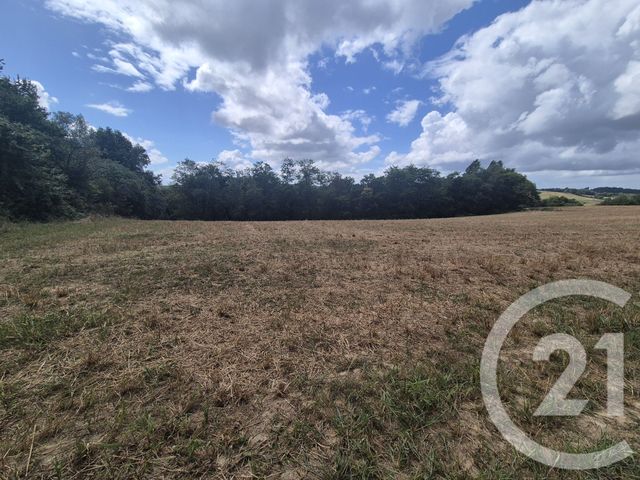 terrain à vendre - 50595.0 m2 - SALIES DE BEARN - 64 - AQUITAINE - Century 21 Agence Du Pont - Vieux