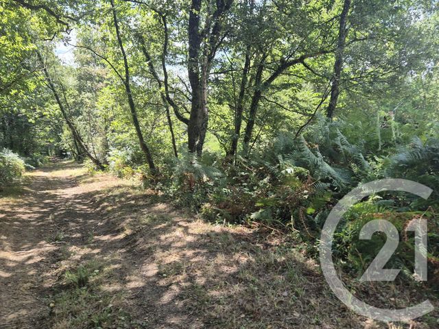 terrain à vendre - 50595.0 m2 - SALIES DE BEARN - 64 - AQUITAINE - Century 21 Agence Du Pont - Vieux