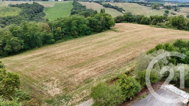 terrain à vendre - 50595.0 m2 - SALIES DE BEARN - 64 - AQUITAINE - Century 21 Agence Du Pont - Vieux
