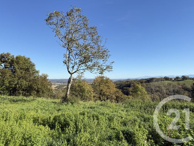 maison à vendre - 4 pièces - 105.93 m2 - CASTETNER - 64 - AQUITAINE - Century 21 Agence Du Pont - Vieux