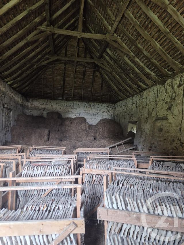 maison à vendre - 1 pièce - 57.0 m2 - CASTETNER - 64 - AQUITAINE - Century 21 Agence Du Pont - Vieux