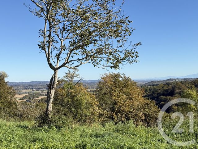 maison à vendre - 1 pièce - 57.0 m2 - CASTETNER - 64 - AQUITAINE - Century 21 Agence Du Pont - Vieux