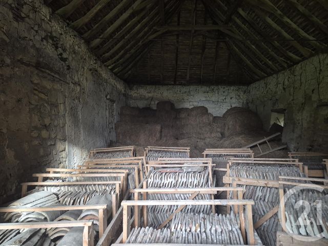 maison à vendre - 1 pièce - 57.0 m2 - CASTETNER - 64 - AQUITAINE - Century 21 Agence Du Pont - Vieux