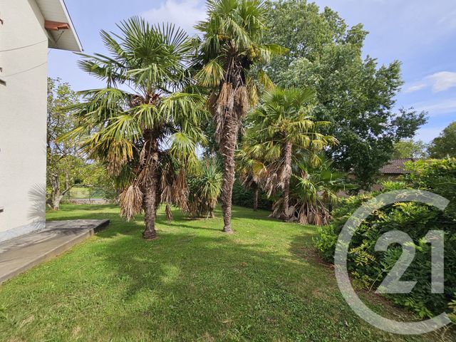 maison à vendre - 7 pièces - 190.02 m2 - BAIGTS DE BEARN - 64 - AQUITAINE - Century 21 Agence Du Pont - Vieux