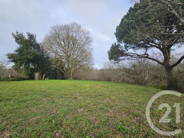 maison à vendre - 7 pièces - 159.0 m2 - HAGETMAU - 40 - AQUITAINE - Century 21 Agence Du Pont - Vieux