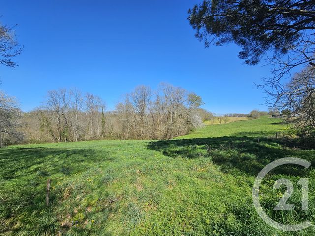 maison à vendre - 7 pièces - 159.0 m2 - HAGETMAU - 40 - AQUITAINE - Century 21 Agence Du Pont - Vieux