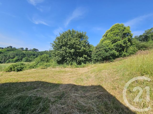 maison à vendre - 4 pièces - 121.08 m2 - SALIES DE BEARN - 64 - AQUITAINE - Century 21 Agence Du Pont - Vieux