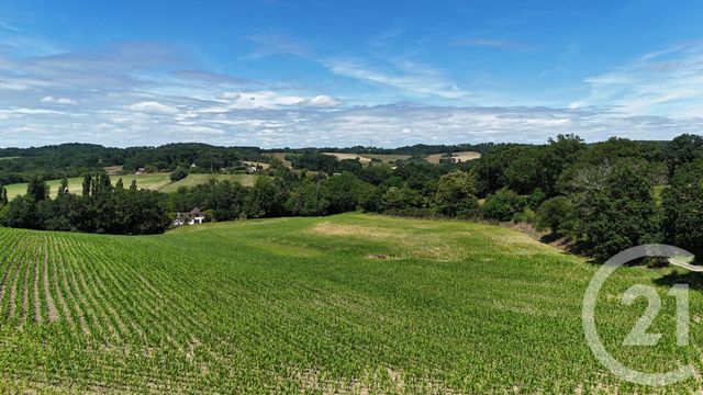 maison à vendre - 8 pièces - 316.61 m2 - ORTHEZ - 64 - AQUITAINE - Century 21 Agence Du Pont - Vieux