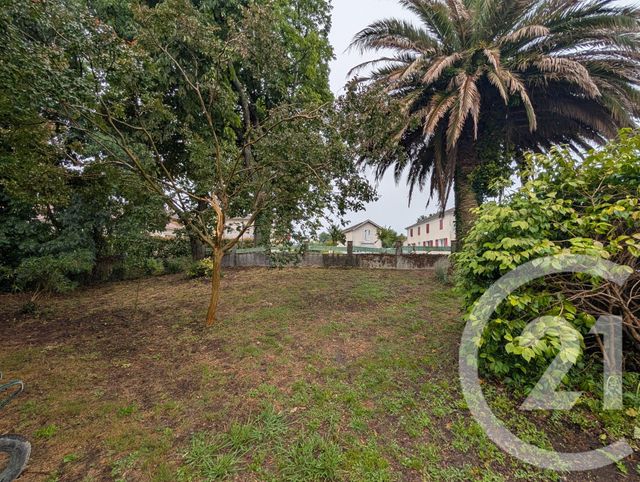 maison à louer - 4 pièces - 95.55 m2 - HORSARRIEU - 40 - AQUITAINE - Century 21 Agence Du Pont - Vieux