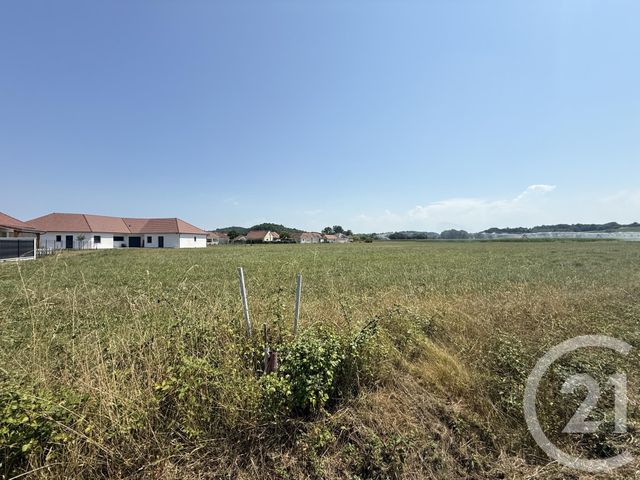 terrain à vendre - 2657.0 m2 - MASLACQ - 64 - AQUITAINE - Century 21 Agence Du Pont - Vieux