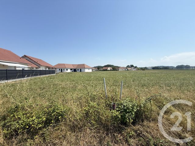 terrain à vendre - 2657.0 m2 - MASLACQ - 64 - AQUITAINE - Century 21 Agence Du Pont - Vieux