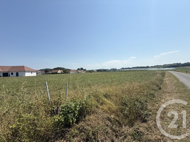 terrain à vendre - 2657.0 m2 - MASLACQ - 64 - AQUITAINE - Century 21 Agence Du Pont - Vieux