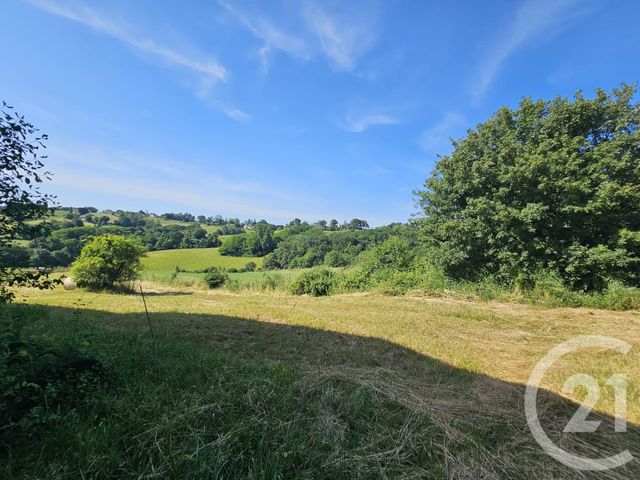 maison à vendre - 4 pièces - 121.08 m2 - SALIES DE BEARN - 64 - AQUITAINE - Century 21 Agence Du Pont - Vieux