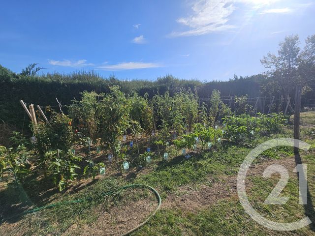 maison à vendre - 5 pièces - 135.0 m2 - ORTHEZ - 64 - AQUITAINE - Century 21 Agence Du Pont - Vieux