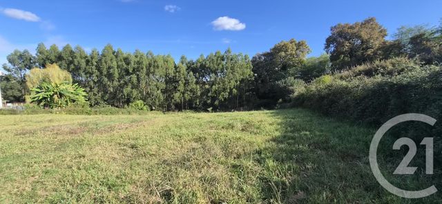 terrain à vendre - 2062.0 m2 - ORTHEZ - 64 - AQUITAINE - Century 21 Agence Du Pont - Vieux