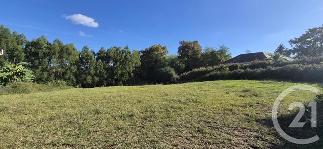 terrain à vendre - 2062.0 m2 - ORTHEZ - 64 - AQUITAINE - Century 21 Agence Du Pont - Vieux