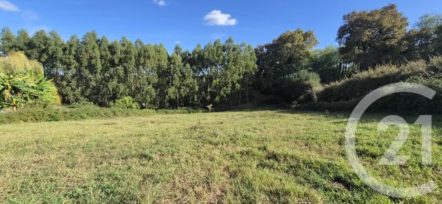 terrain - ORTHEZ - 64
